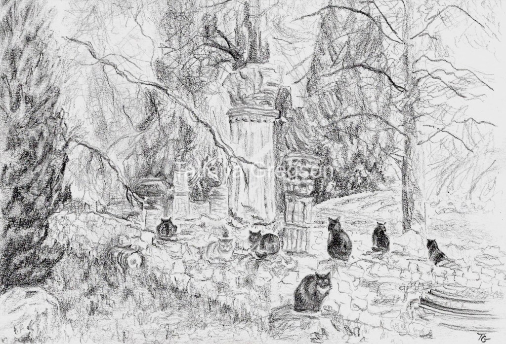 Graphite pencil drawing of the 6 black and 1 white cats resting amongst Roman ruins in one of the historical sites in Vaison-La-Romain, Provence, France.