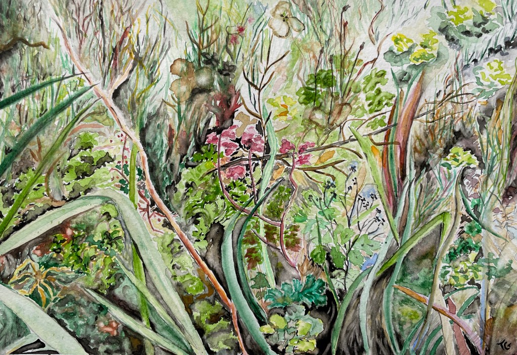 This watercolour painting captures a lush, overgrown garden scene with intricate botanical details. The composition is filled with intertwining leaves, stems, and wild greenery, creating a sense of depth and movement. Various shades of green dominate the palette, complemented by earthy browns, soft yellows, and hints of pink, suggesting wildflowers blooming amidst foliage. The painting showcases a delicate balance of realism and expressive brushwork, bringing nature's organic chaos to life. The wet-on-wet technique blends colours harmoniously, while precise linework adds definition to the intricate plant forms. The close-up perspective draws viewers into the natural world, evoking a sense of wonder and tranquillity. 